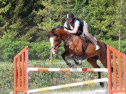 IMG_0649_web